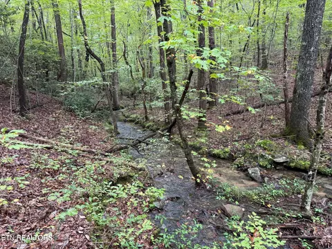 White Oak Rd, Monterey, TN 38574