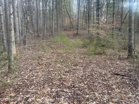 --- Sugar Maple Way, Del Rio, TN 37727