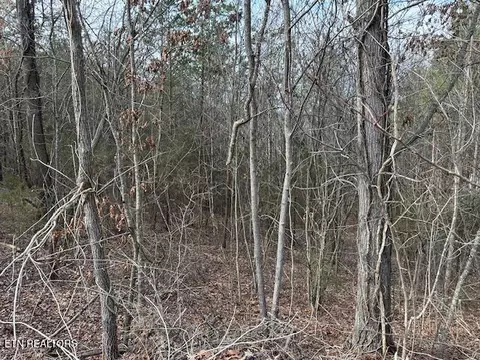 000 West Dr, Parrottsville, TN 37843