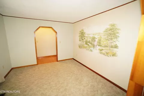 Other - 483 Shaver Dr, Talbott, TN 37877 photo 3 of 8