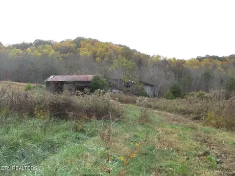 5194 Jones Cove Rd, Cosby, TN 37722