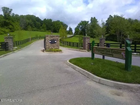 lot20 Dogwood Cove Dr, Spring City, TN 37381