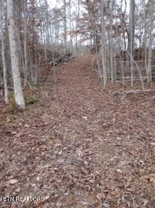 252 Haven Way, Lenoir City, TN 37771