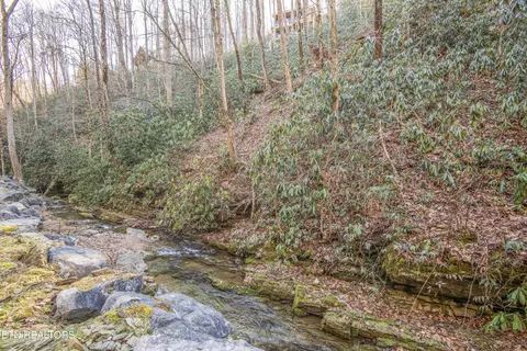 n clear fork rd LOT 4, Sevierville, TN 37862