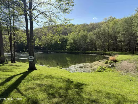 View/Area - 4601 White Oak Rd, Duff, TN 37729 photo 1 of 2