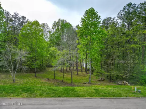 768 Wood Duck Dr, Vonore, TN 37885