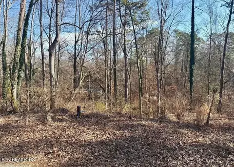 lot4344 Mayflower Ln, Dandridge, TN 37725