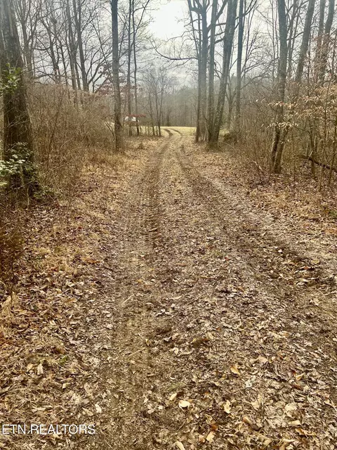River Rd, Jacksboro, TN 37757