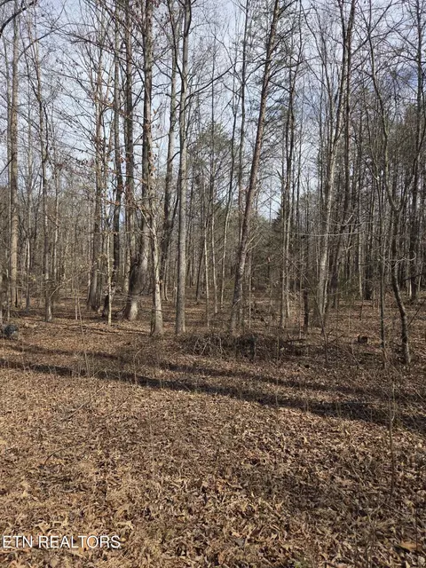County Road 660, Athens, TN 37303