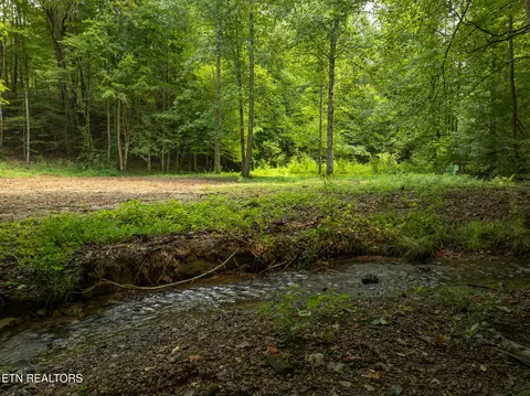 lot5 6 Ardell Way, Cosby, TN 37722