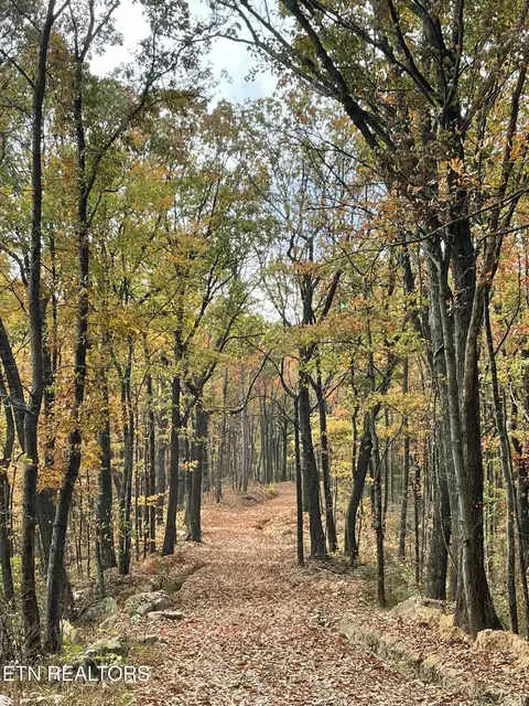 150 Timber Oaks Ln, Pioneer, TN 37847