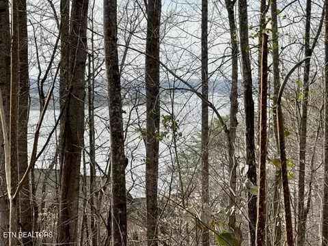 196 E Cove Dr, Greenback, TN 37742