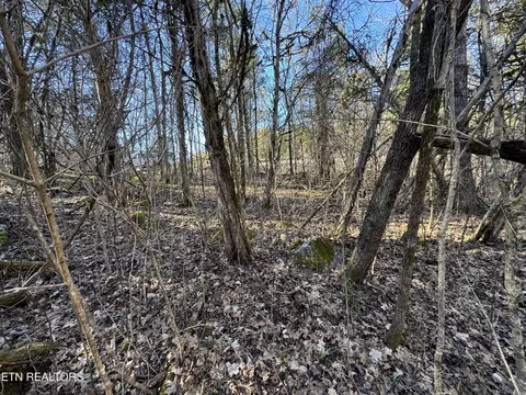 Tn-131, Treadway, TN 37881