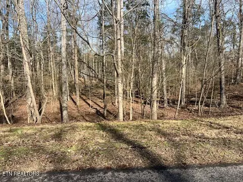 E Shore Drive, Rockwood, TN 37854