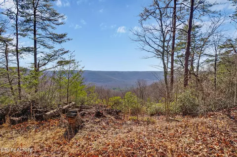 1309 Wind Rush Way, Monterey, TN 38574