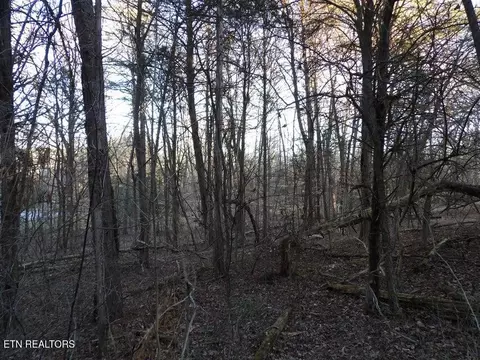 lot1060 Mountain View Ln, Baneberry, TN 37890