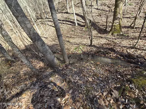Baysinger Rd, Newport, TN 37821