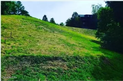 1624 Mountain Lodge Way, Pigeon Forge, TN 37862