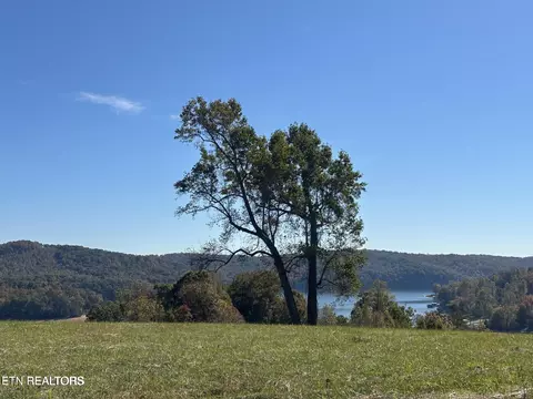 lot41 Deer Tr, La Follette, TN 37766