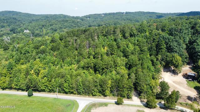 73 Acres Tarklin Valley Rd, Rockford, TN 37853