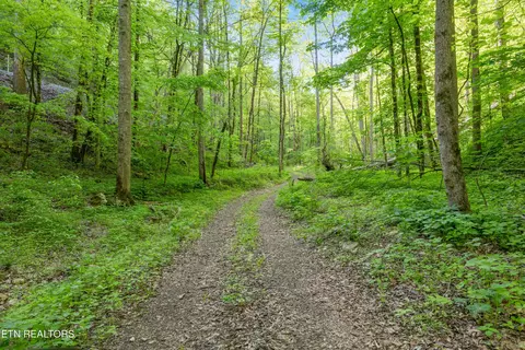 Bunch Hollow Rd, New Tazewell, TN 37825