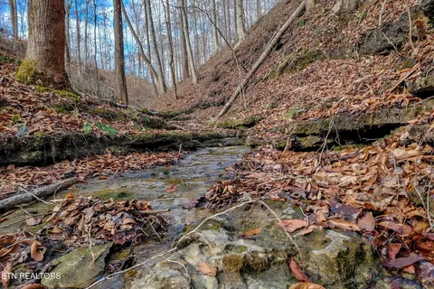 6 24 Acres Hutchins Bend Rd, Sparta, TN 38583