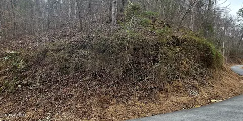 lot0006 Wildcat Ridge Rd, Sevierville, TN 37862