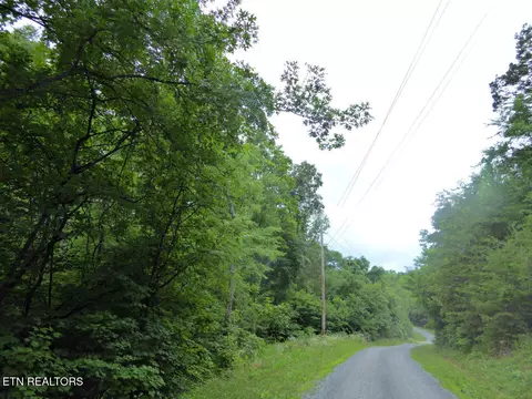 550-551 Spring Ln, Baneberry, TN 37890