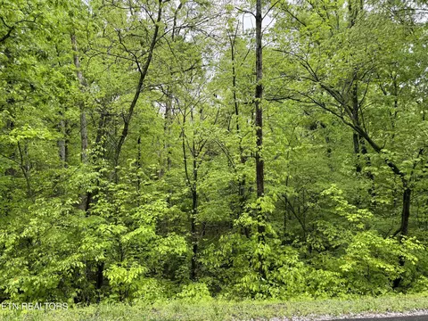 104 Chanusi Way, Loudon, TN 37774