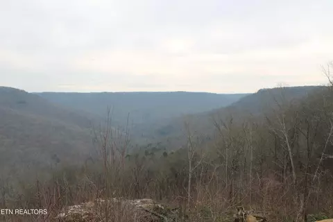E Bobcat Lane, Jamestown, TN 38556