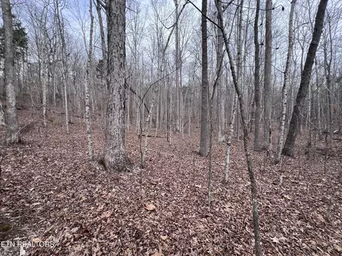 Buffalo Cove Lane, Jamestown, TN 38556