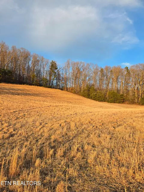 Monroe Lane, Sharps Chapel, TN 37866