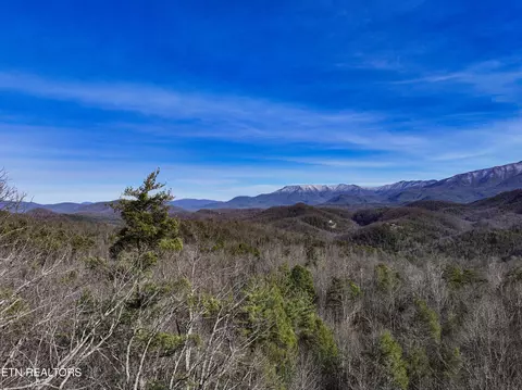 Henry Town Rd, Sevierville, TN 37876