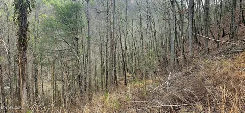 3278 Emerald Springs Loop, Sevierville, TN 37862