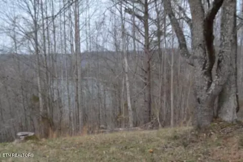 lot S 4 5 Fox Hill Rd, Baxter, TN 38544