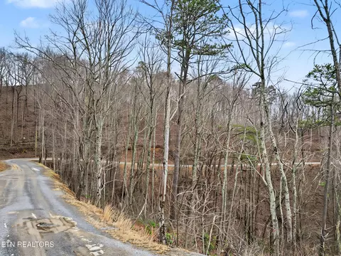 Sugar Maple Loop Rd, Sevierville, TN 37862 photo 2