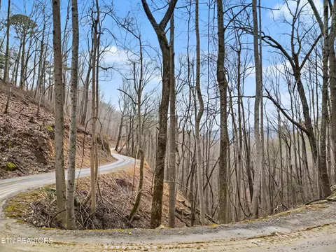 Sugar Maple Loop Rd, Sevierville, TN 37862 photo 3