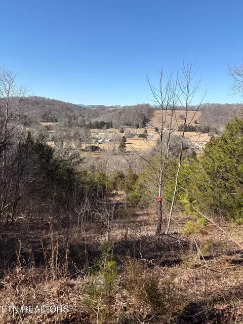 9406 Heiskell Rd, Heiskell, TN 37754 photo 7