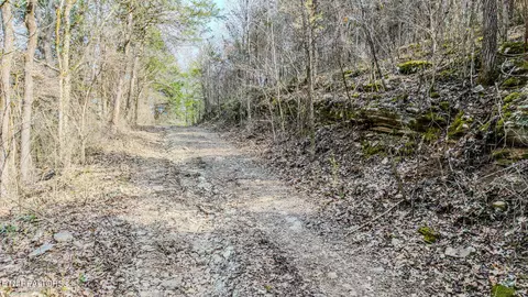 9406 Heiskell Rd, Heiskell, TN 37754 photo 2