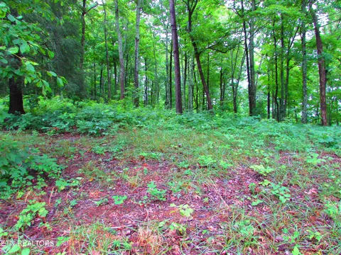 Pinnacle Pointe Way, Sharps Chapel, TN 37866