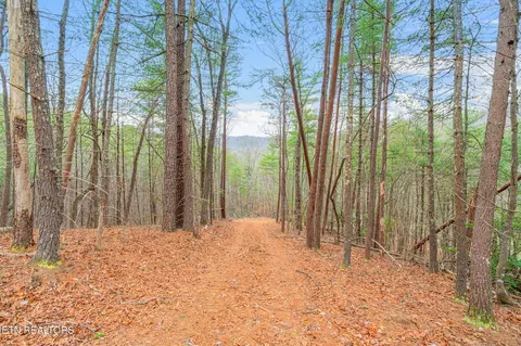 rafter rd, Tellico Plains, TN 37385