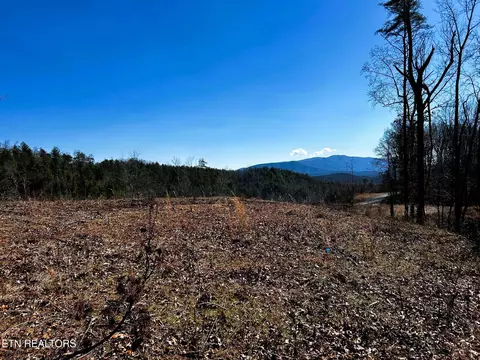 107125 Chestnut Mountain Rd, Reliance, TN 37369