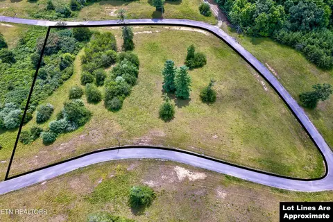 Highway 62, Deer Lodge, TN 37726