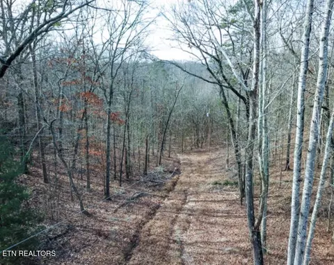 Hall / Tarwater St, Rockwood, TN 37854