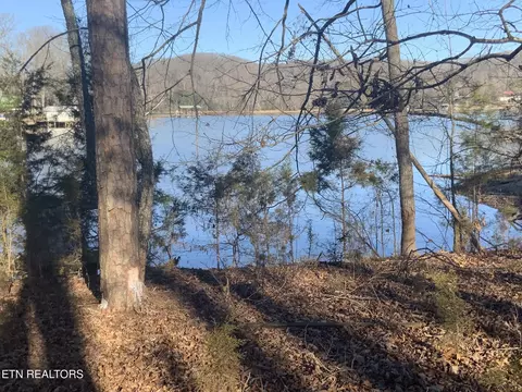 lot91 Bending Bow Dr, Ten Mile, TN 37880