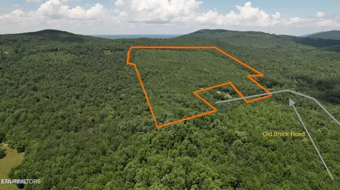 Shady Oaks Drive, Spring City, TN 37381
