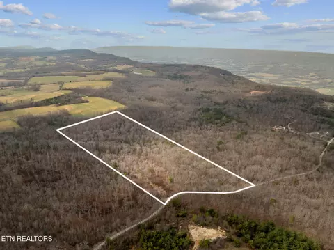 20 Acres Barbee Cemetery Rd, Pikeville, TN 37367