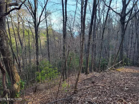 lot5 Swann Saddle, Sevierville, TN 37876