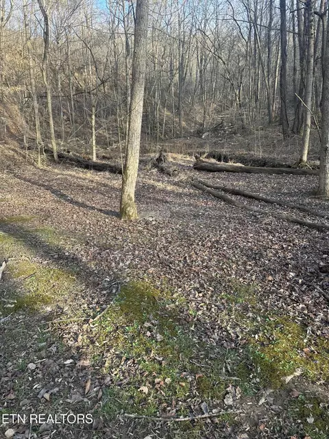 Other - 2794 Us Hwy 25 E, Middlesboro, KY 40965 photo 10 of 10