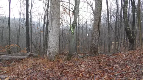 lot S 1718 Savannah, Smithville, TN 37166